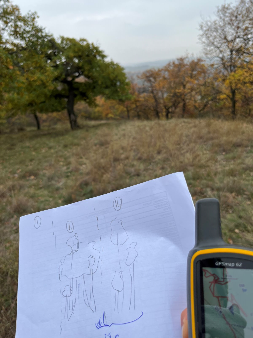 GPS-Gerät und Zeichnung von Bäumen vor einem Wald