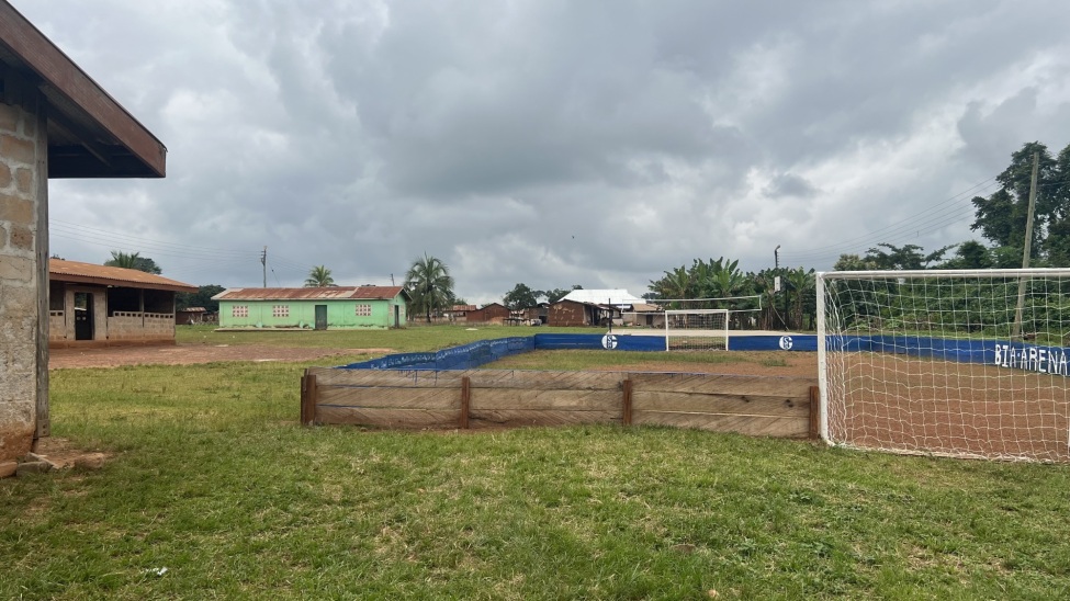 Ein Fußballplatz mit Toren und Holzbande, daneben mehrere Schulgebäude